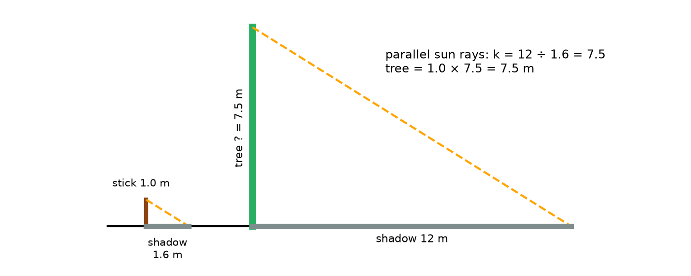 Figure 8.3 · Two right triangles formed by sunlight. A 1.0 m upright stick with a 1.6 m shadow, and a tree of unknown height with a 12 m shadow. Parallel sun rays make equal angles with the ground, so the triangles are similar with scale factor 12 ÷ 1.6 = 7.5, giving a tree height of 7.5 m.